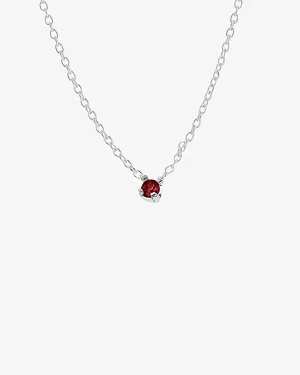 Birthstone necklace silver january