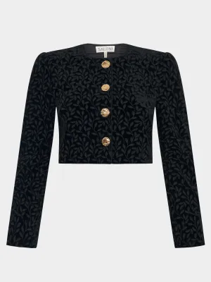 Vika Velvet Jacket Noir Featherleaf